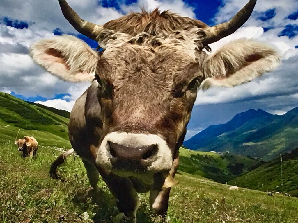 Arlberg Lodges Stuben am Arlberg Zewnętrze zdjęcie